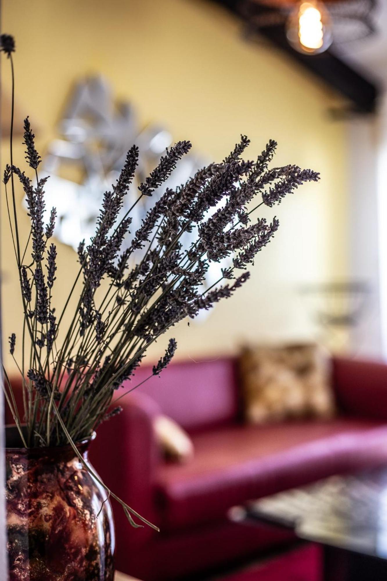 Aparthotel Le Dupe Brissac-Quince Esterno foto